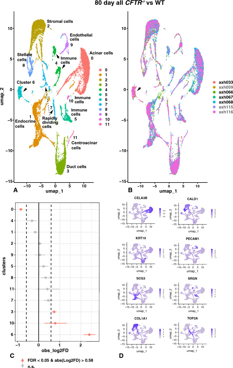 Fig. 6