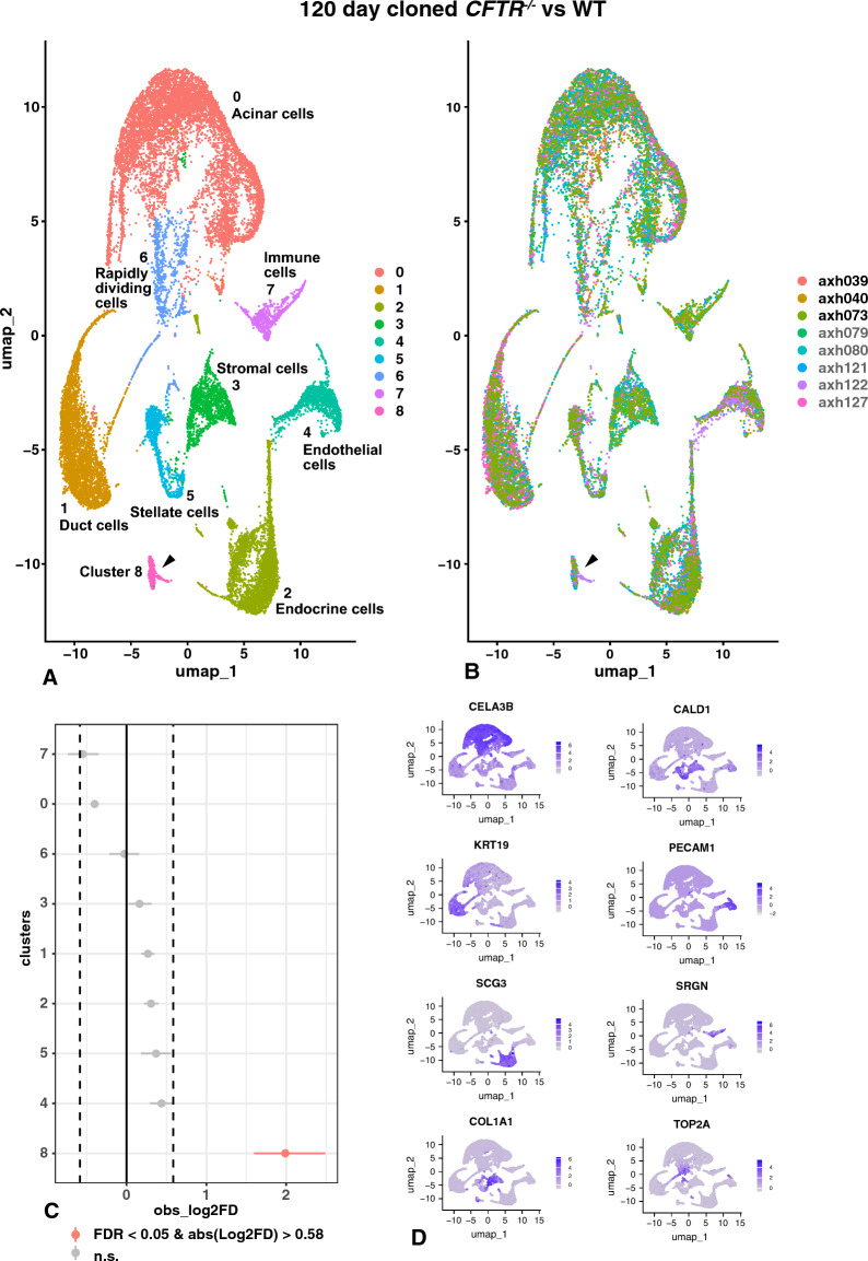 Fig. 7