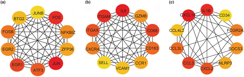 Figure 4.