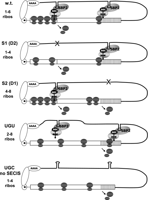 FIG. 4.