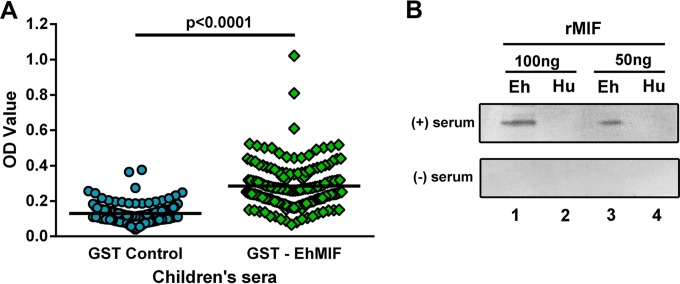 FIG 5