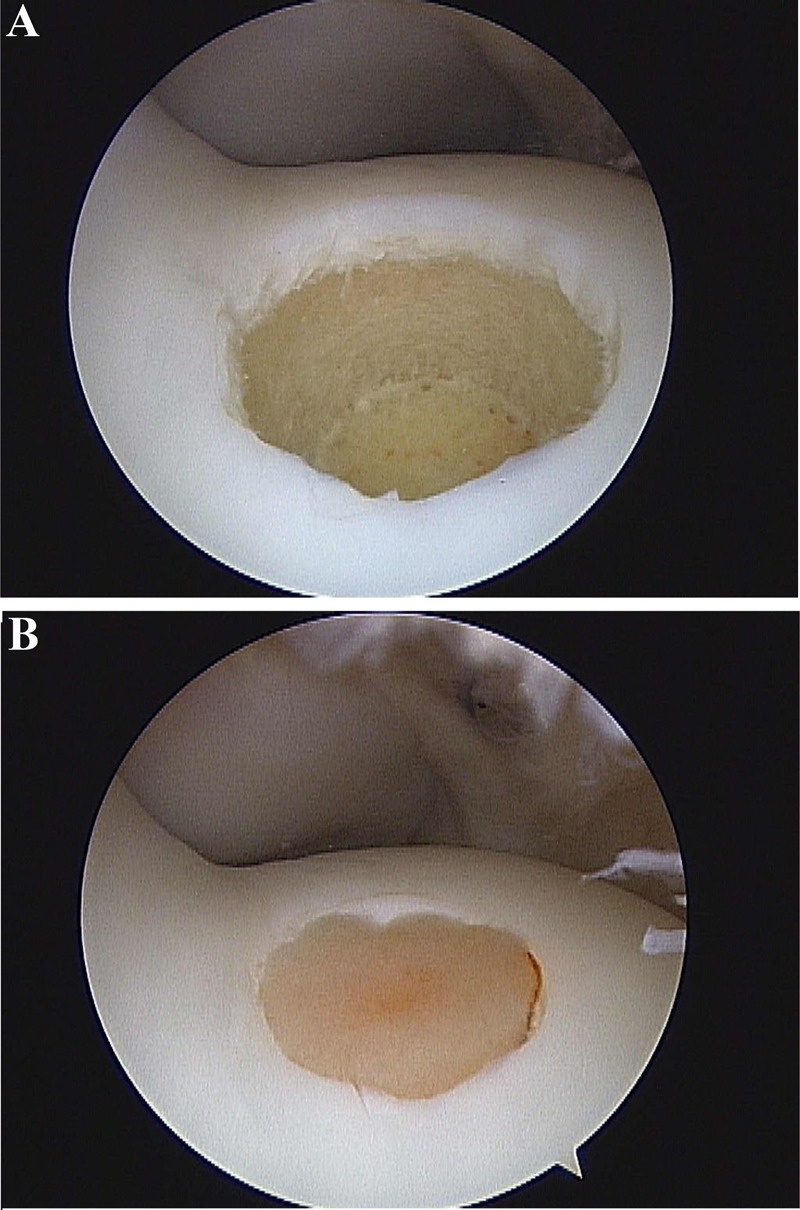 Figure 9.