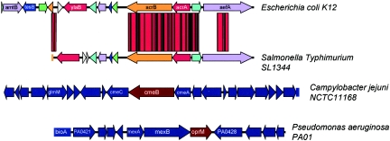 FIG. 2.