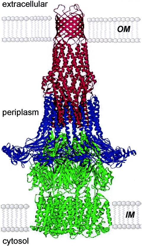 FIG. 3.