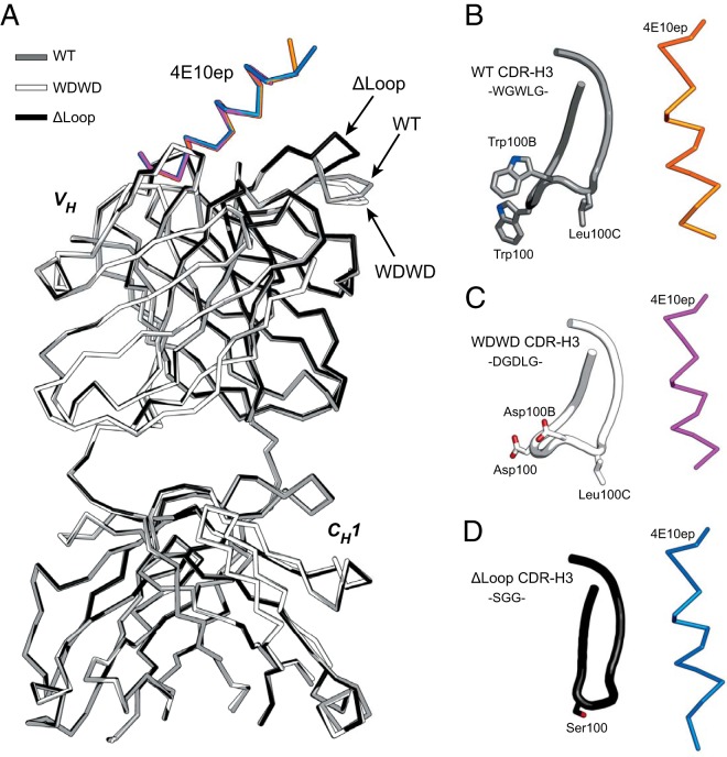 FIG 1