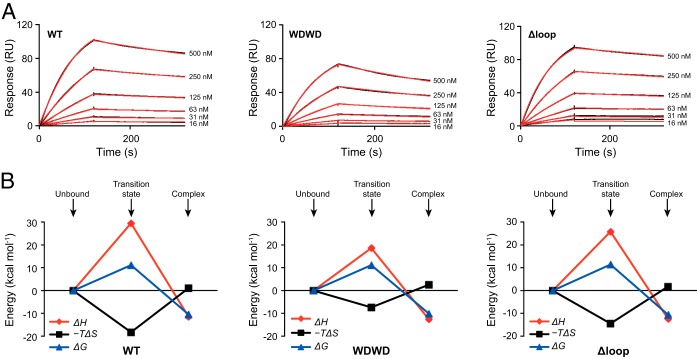 FIG 4