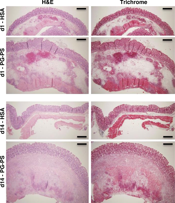 Fig. 5.