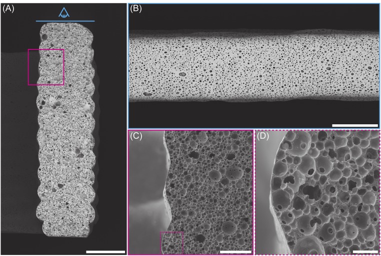 Fig. S5.