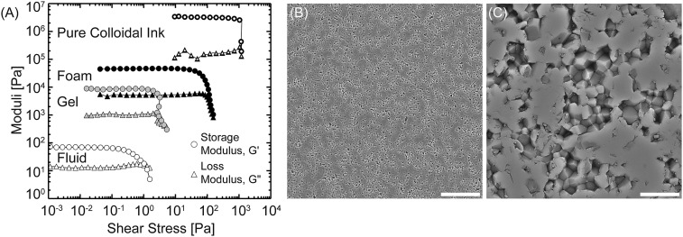 Fig. S4.