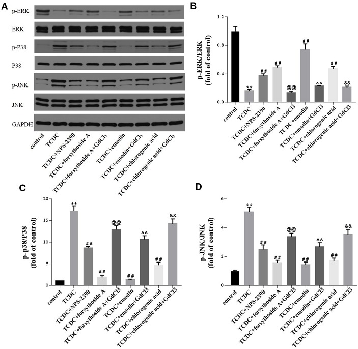 Figure 17