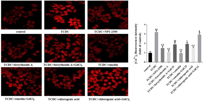 Figure 15