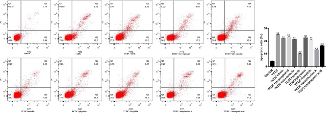 Figure 13