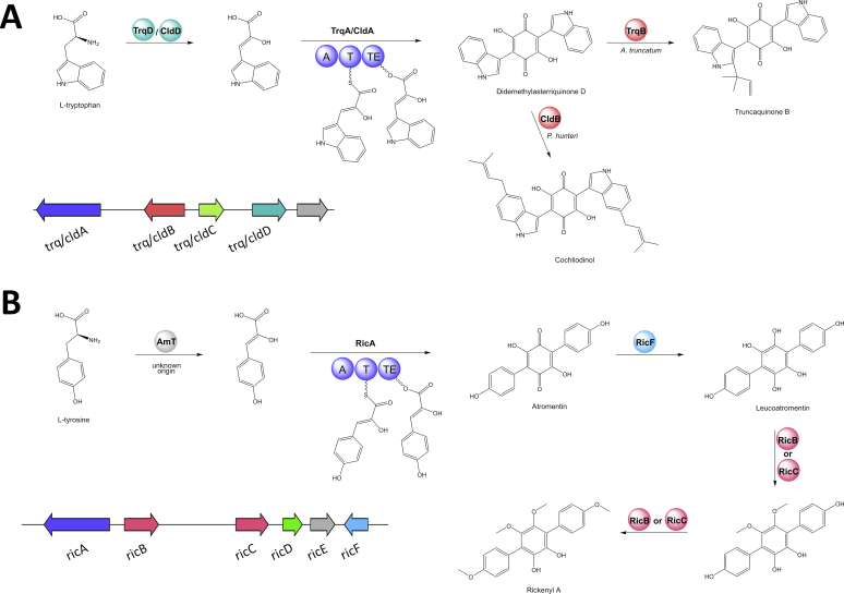 Fig. 15