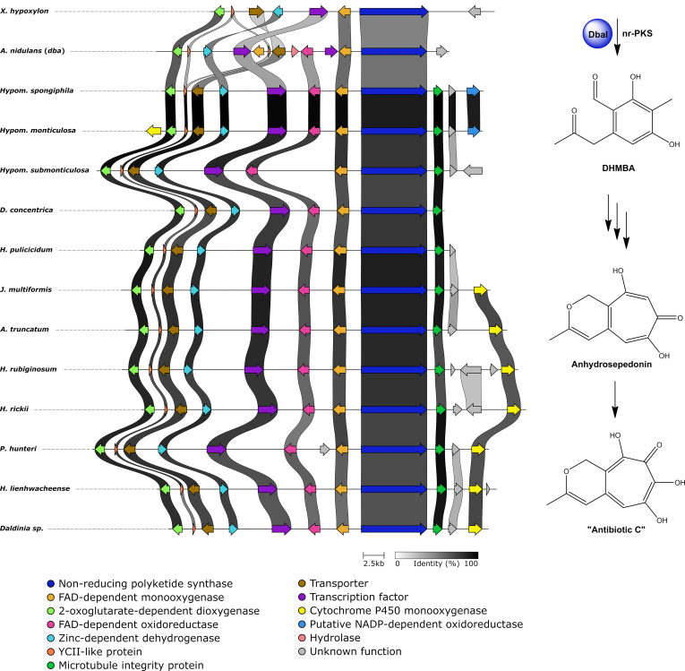 Fig. 10