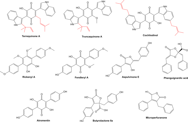 Fig. 12