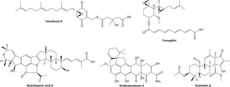 Fig. 24