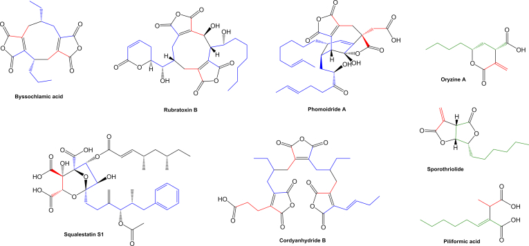 Fig. 18