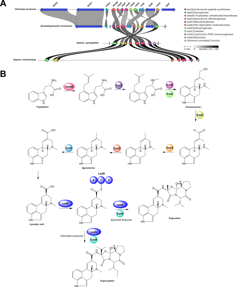 Fig. 11