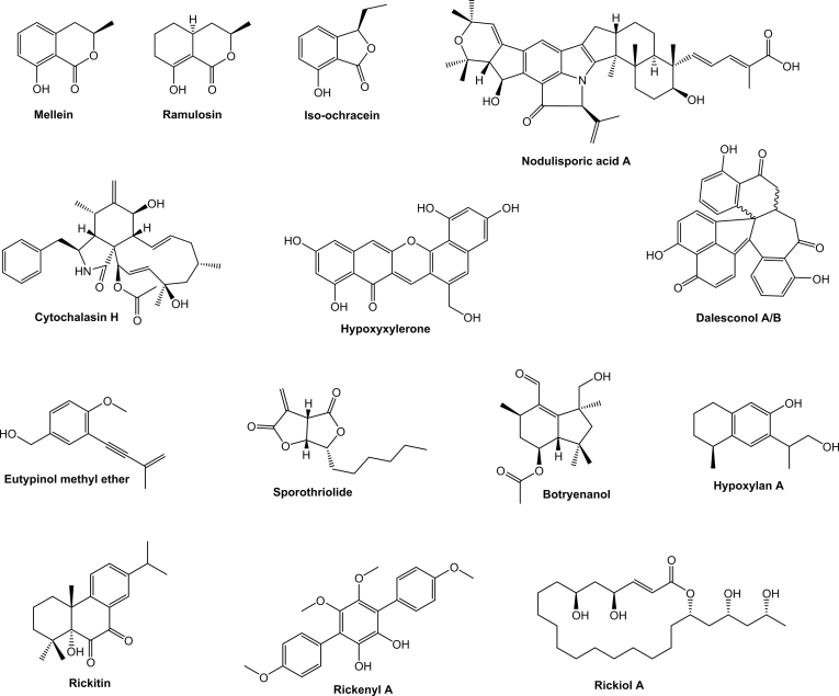 Fig. 2