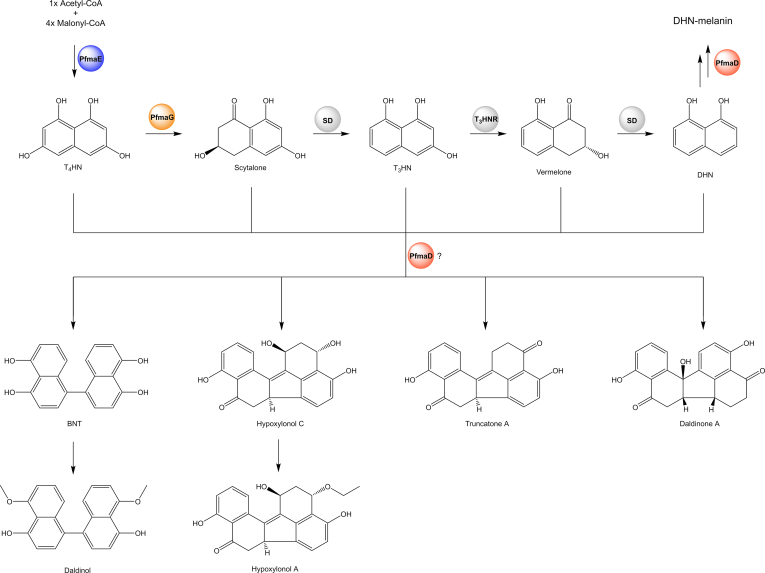 Fig. 9