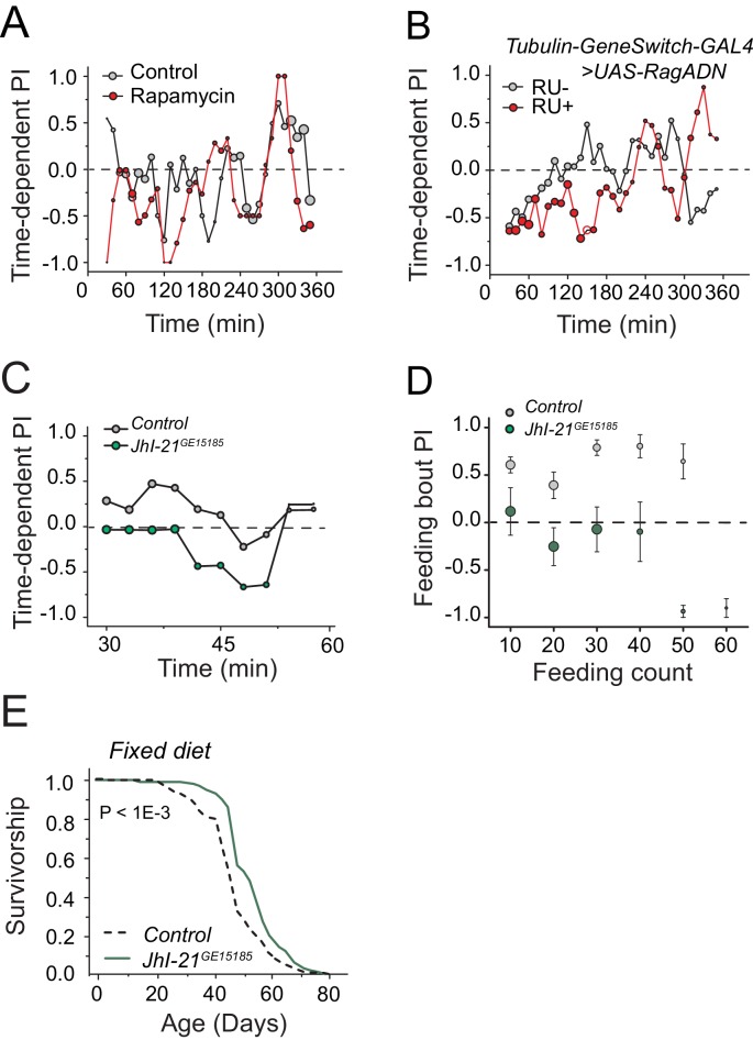 Figure 6—figure supplement 1.