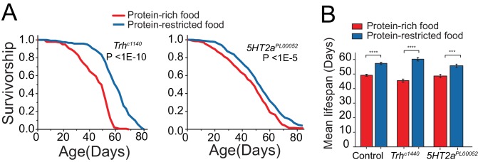 Figure 4—figure supplement 1.