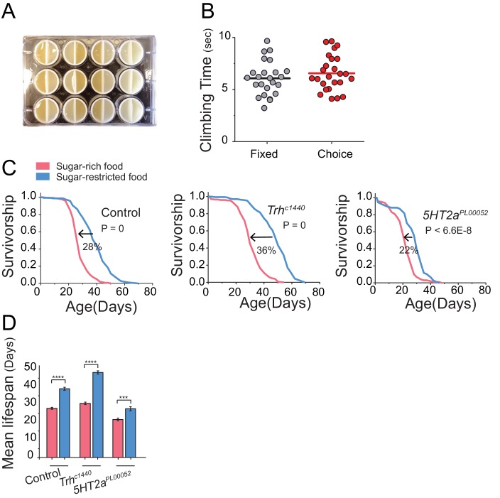 Figure 4—figure supplement 2.