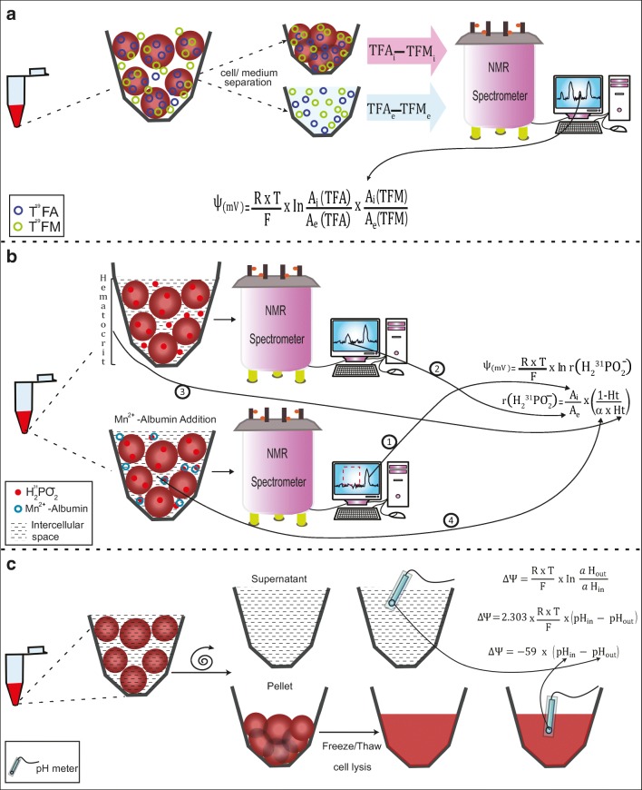 Fig. 3