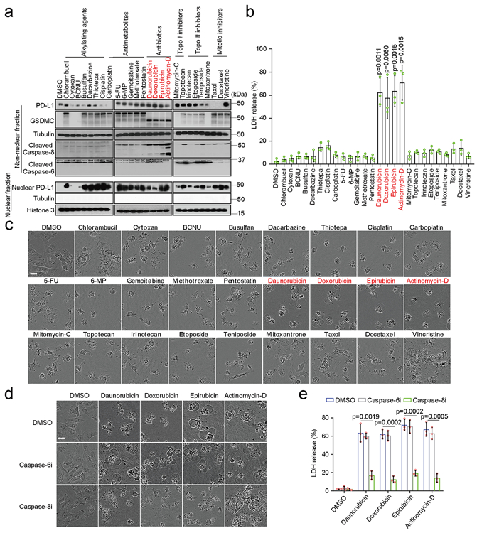 Fig. 8: