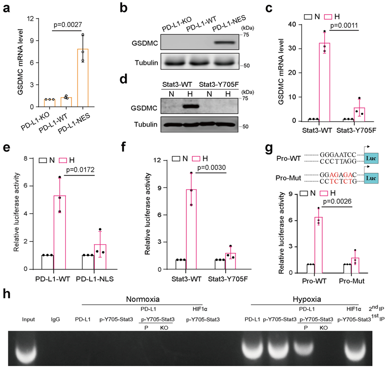 Fig. 4: