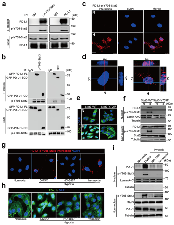 Fig. 2: