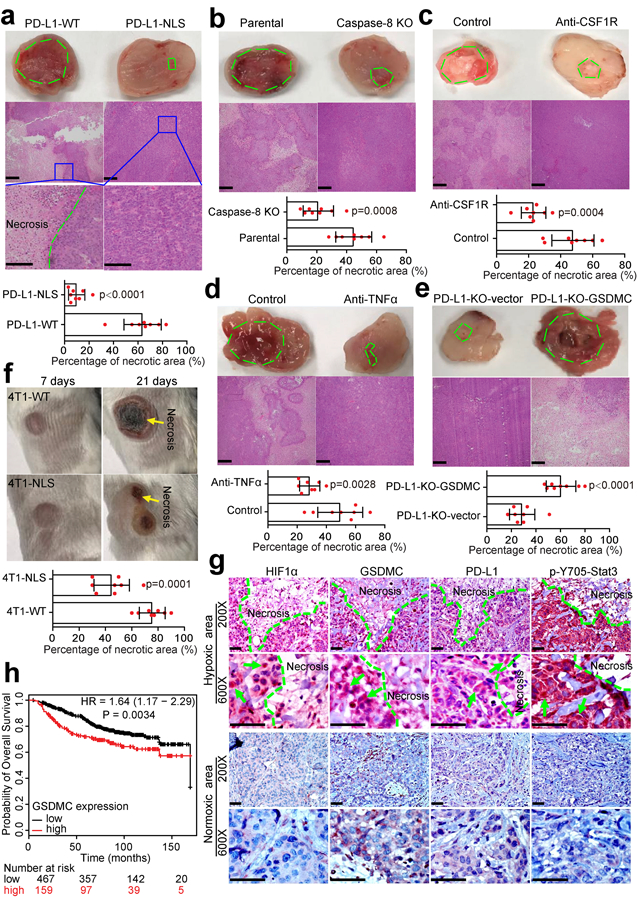 Fig. 7: