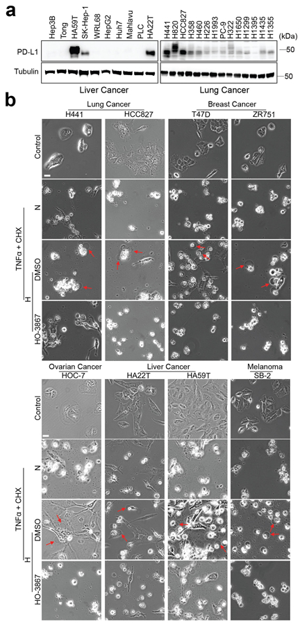 Extended Data Fig. 2