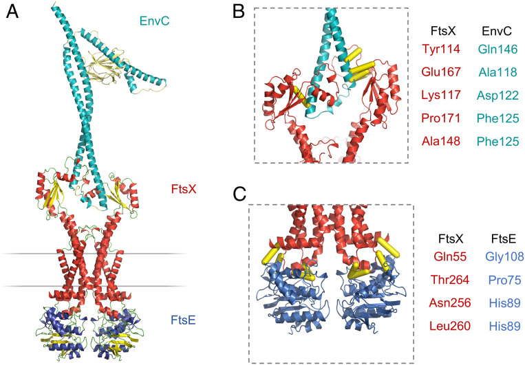 Fig. 7.