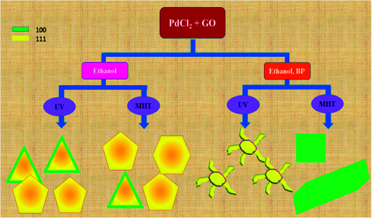 Scheme 1