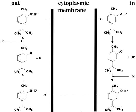 FIG. 8.