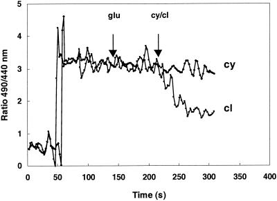 FIG. 5.