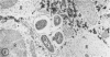 476-9