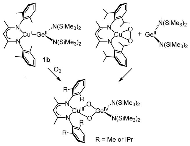 Scheme 3