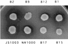 FIG. 7