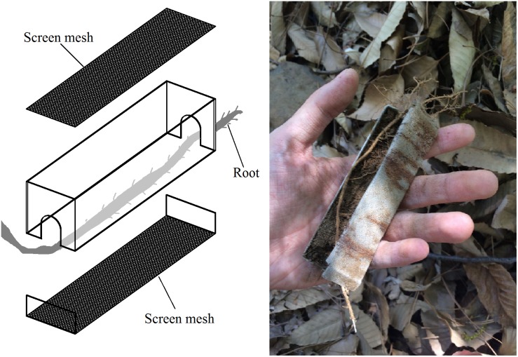 FIGURE 1