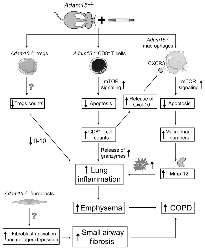 Figure 10: