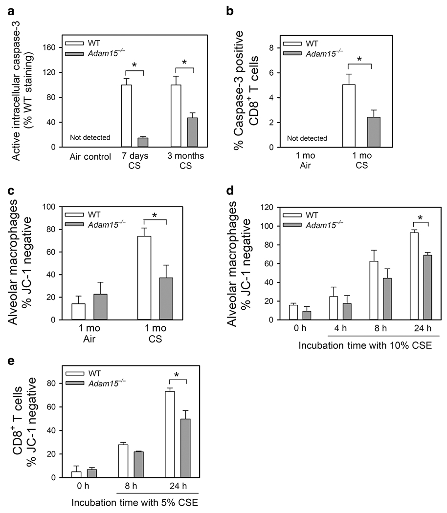 Figure 7: