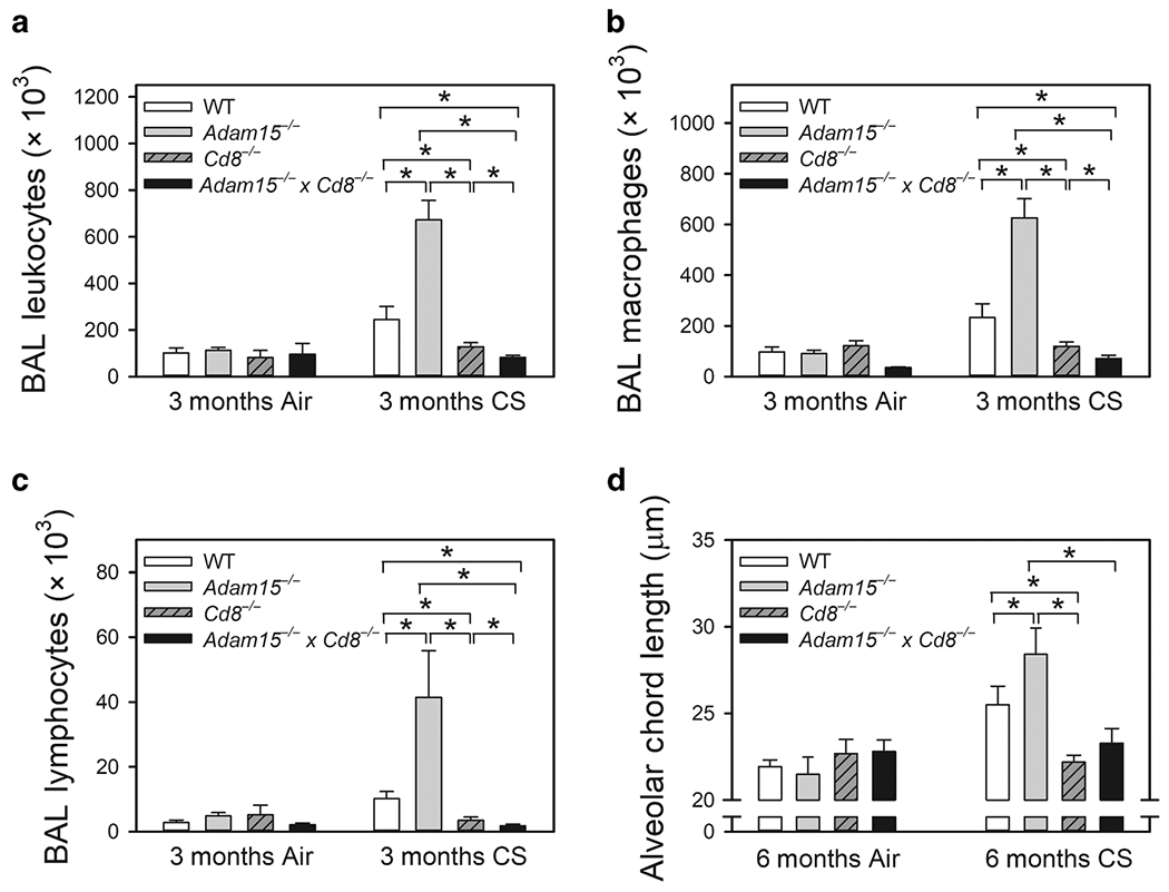 Figure 6: