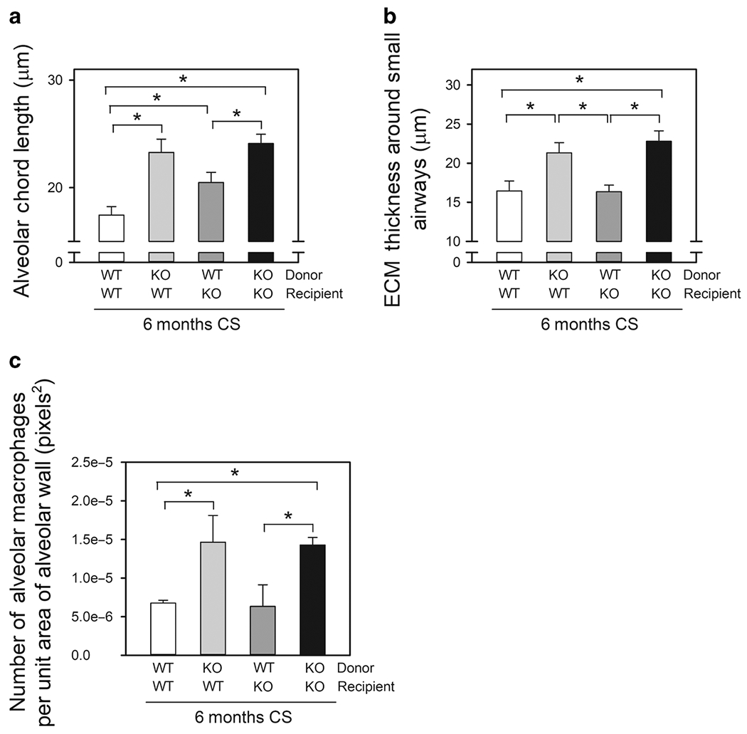 Figure 5: