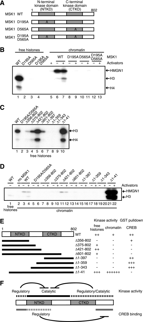 FIGURE 7.