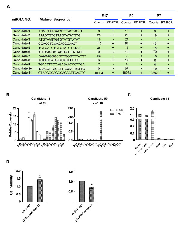 Figure 3 