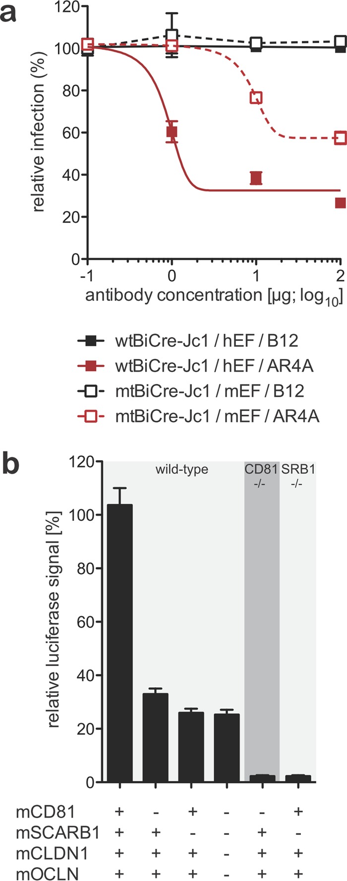 FIG 5 