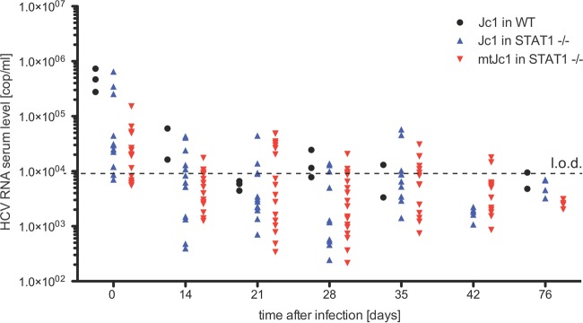 FIG 6 