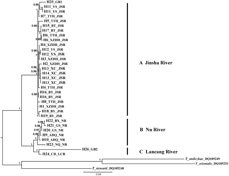 Fig. 3.